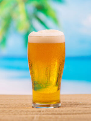 BIERES SPECIALES SANS ALCOOL